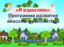 Презентация внеурочной деятельности Я взрослею7кл