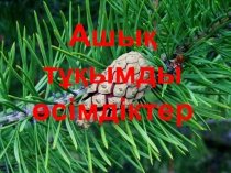 Ашық тұқымды өсімдіктер тақырыбына презентация