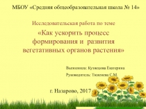 Исследовательская работа на тему Как ускорить процесс формирования и развития вегетативных органов растения