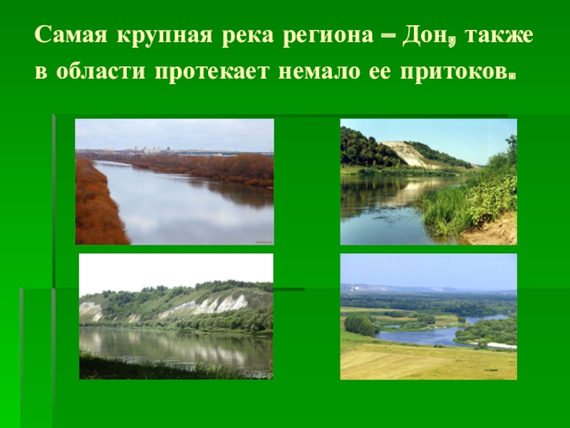 Разнообразие природы родного края 3 класс проект по окружающему миру воронежская область