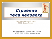 Презентация по окружающему миру Строение тела человека