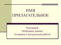 Презентация по русскому языку на тему Имя прилагательное (5 класс)