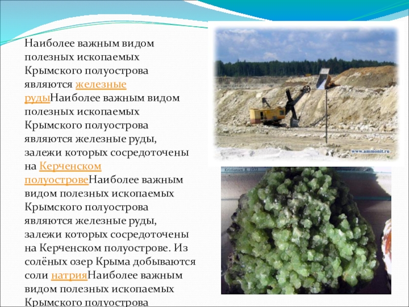 Наиболее важным видом полезных ископаемых Крымского полуострова являются железные рудыНаиболее важным видом полезных ископаемых Крымского полуострова являются