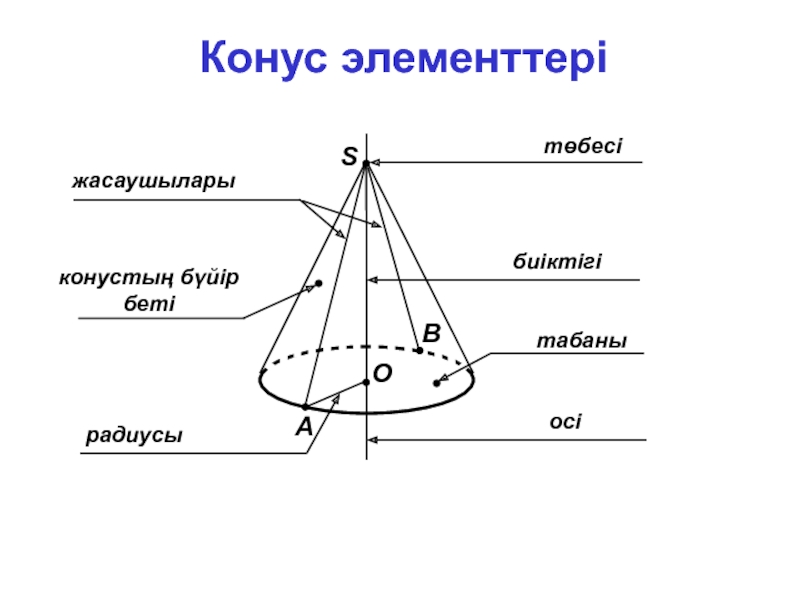 Конус презентация 11 сынып