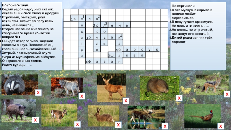 Заповедники вопрос. Кроссворд на тему заповедник. Кроссворд на тему заповедники России. Кроссворд на тему животные и растения с ответами. Кроссворд на тему заповедник с вопросами.