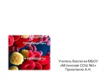 Презентация урока Внутренняя среда. Значение крови и ее состав 8-9 класс