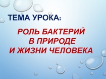 Роль бактерий в природе и жизни человека