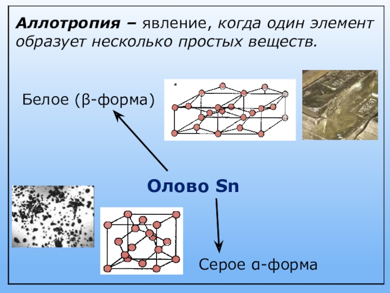 Что такое аллотропия. Аллотропные модификации олова. Аллотропные видоизменения олова. Белое олово аллотропная модификация. Белое олово кристаллическая решетка.