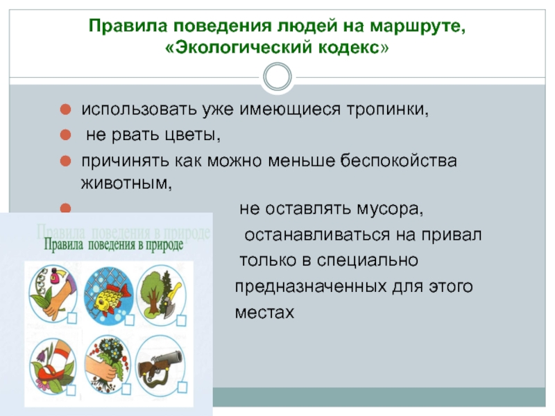 Экологический кодекс. Правила поведения на экологической тропе. Экологический маршрут правила поведения. Кодекс экологического поведения.