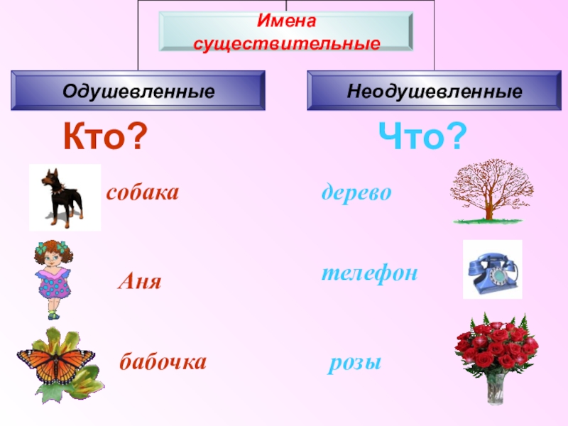 5 класс русский язык обобщение существительное