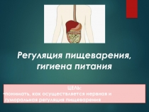 Презентация по биологии на тему Регуляция пищеварения. Гигиена питания (8 класс)