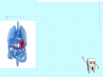 Презентация - тренажер по биологии на тему Пищеварение (тесты)