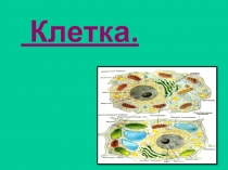 Урок на тему: Клетка