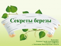 Презентация к научно - исследовательской работе Секреты берёзы