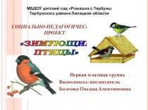 Социально-педагогический проект для первой младшей группы Зимующие птицы