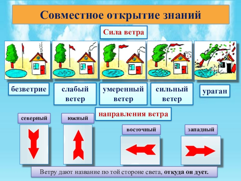 Сила ветра в картинках