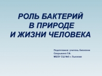 Роль бактерий в природе и жизни человека
