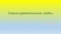 Презентация к факультативному занятию Самые удивительные грибы