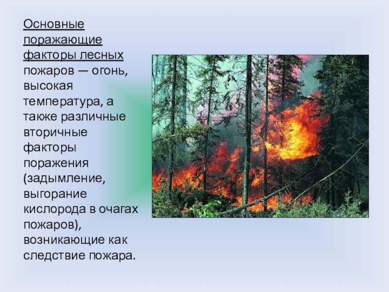 Пожар поражения. Основные поражающие факторы лесных пожаров. Первичные поражающие факторы лесных пожаров. Поражающие факторы при Лесном и торфяном пожаре. Первичные и вторичные поражающие факторы лесных пожаров.