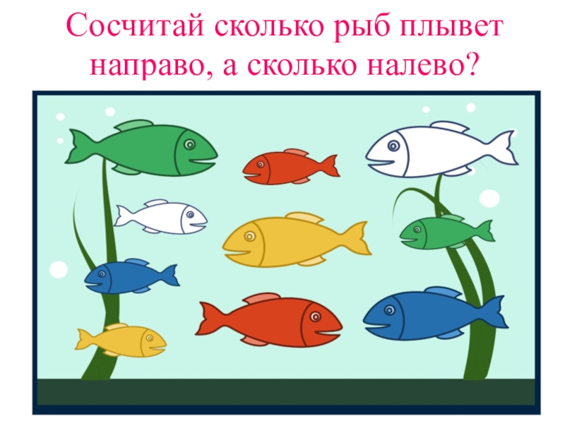 Рыбы числа. Сосчитай рыбок. Рыбки плывут направо и налево. Рыбки в аквариумах счёт. Рыбы задания для дошкольников налево направо.