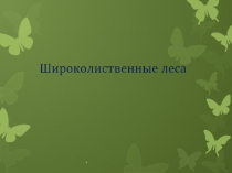 Презентация по географии Широколиственные леса 8 класс