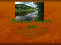 Презентация по окружающему миру на тему Природа родного края.