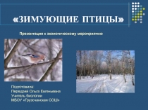 Электронный образовательный ресурс Зимующие птицы