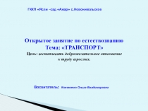 Презентация по естествознанию на тему Транспорт (средняя группа)