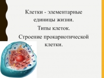 Презентация по биологии 9 класс на тему: Типы клеток. Прокариотная клетка.