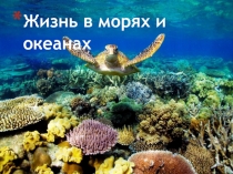 Презентация по биологии на темуЖизнь в морях и океанах