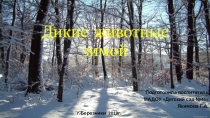 Презентация для детей раннего возраста на тему: Дикие дивотные в зимнем лесу