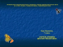 Презентация по биологии на тему Тип Членистоногие. Класс Ракообразные