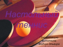 Работа ученицы Настольный теннис (10 класс)