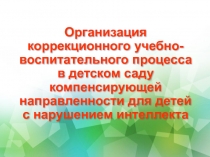 Презентация Организация коррекционного учебно-воспитательного процесса в детском саду компенсирующей направленности для детей с нарушением интеллекта