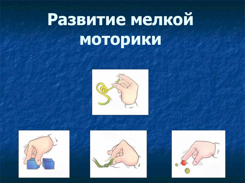 Презентация Презентация по логопедии на тему Развиваем речь играя пальчиками