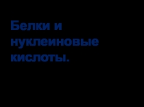Презентация к уроку биологии 9 класса Белки и НК