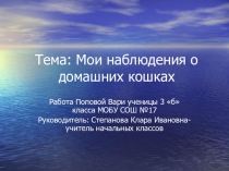 Работа по проектно-исследовательской деятельности Мои наблюдения на научно-практическую конференцию.