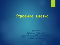 Презентация по биологии на тему Строение цветка