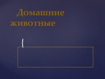 Домашние животные