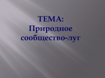 Презентация Природное сообщество-лугокружающий мир.