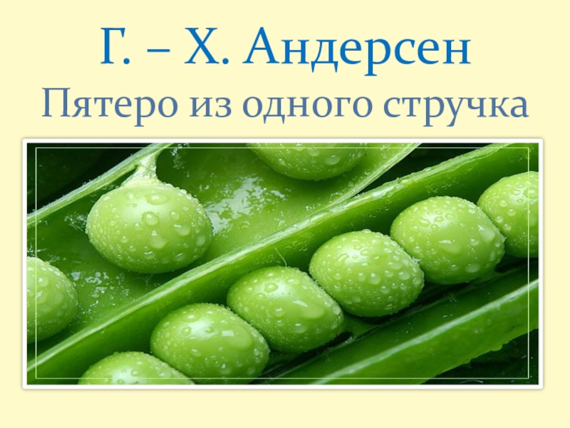 Г х андерсен пятеро из одного стручка презентация