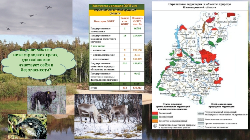 Природные зоны нижегородской области карта