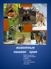 Презентация к проекту Дикие животные нашего края