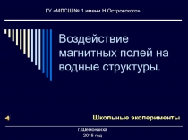 Воздействие магнитных полей на водные структуры.