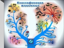 Презентация урока Классификация животных и основные систематические группы