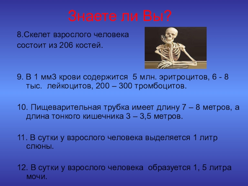 Сколько костей в теле человека ребенка. Факты о скелете человека. Скелет человека интересные факты для детей. Скелет взрослого человека состоит из. Интересная информация о человеке.