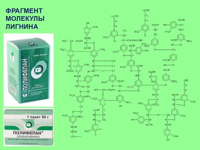 Фрагмент молекулы. Лигнин формула химическая. Молекулярная формула лигнина. Лигнин гидролизный химическая формула. Структура молекулы лигнина.