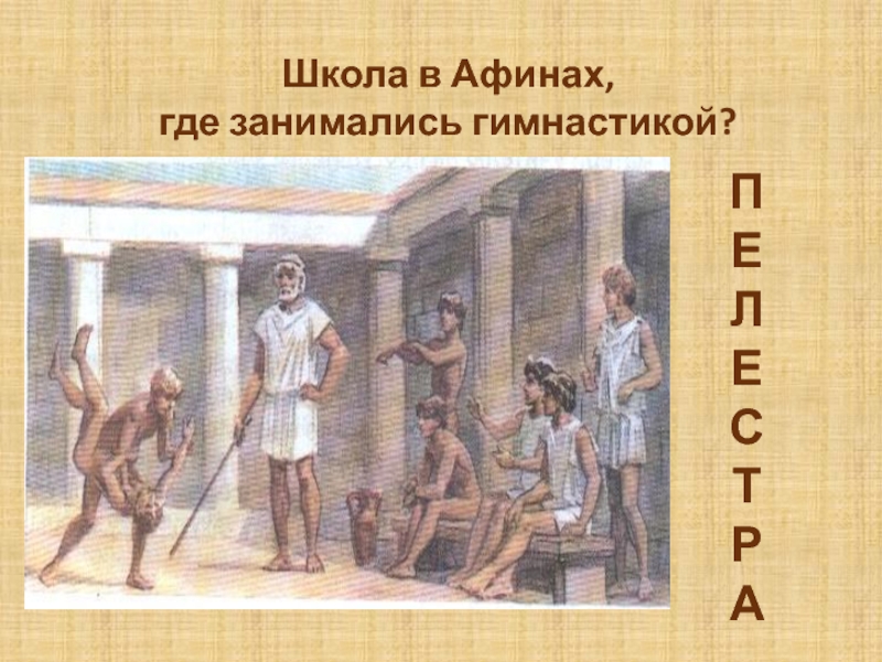 Школы в афинах 5 класс. Школа Палестра в древней Греции. Палестра в древней Греции. Афинские школы и гимнасии в древней Греции. Палестра в Афинах.