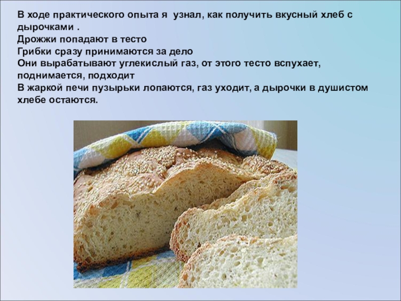 В ходе практической работы. Некачественный хлеб. Брак хлеба. Как получают хлеб. Форма недоброкачественного хлеба.