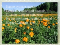 Классный час Женская одежда хакасов